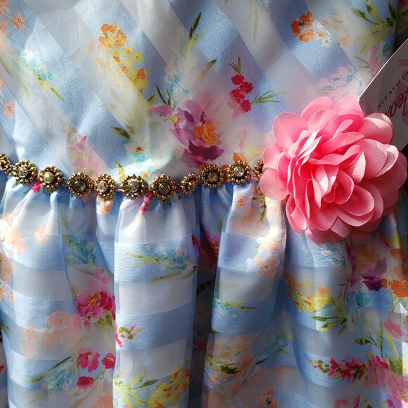 BNWT Bonnie Jean Big Girls Sleeveless Fit + Flare Premium Dress (16) - Picture 6 of 10